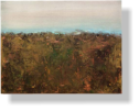 Serie La terra infitia 40x50 cm